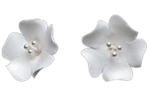Fruit Blossom White