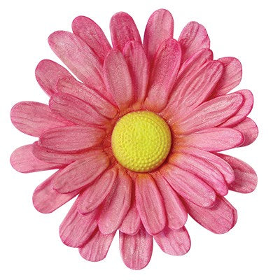 Medium Multi Petal Daisy Gerbera Set Of 2