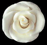 Elegance Gumpaste Large Rose - White