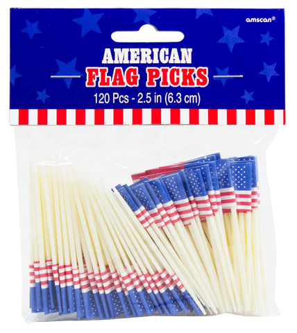 American Flag Pic